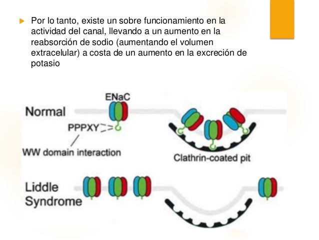 Hipertension_Guia de practica clinica Hipertension_Guia de practica clinica