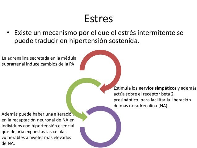 Hipertension_Guia de practica clinica Hipertension_Guia de practica clinica