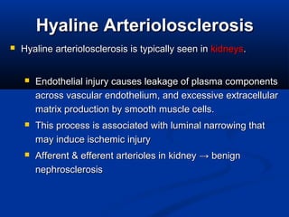 HyalineHyaline ArteriolosclerosisArteriolosclerosis
 Hyaline arteriolosclerosis is typically seen in Hyaline arteriolosclerosis is typically seen in kidneyskidneys. . 
 Endothelial injury causes leakage of plasma components Endothelial injury causes leakage of plasma components 
across vascular endothelium, and excessive extracellular across vascular endothelium, and excessive extracellular 
matrix production by smooth muscle cells.matrix production by smooth muscle cells.
 This process is associated with luminal narrowing that This process is associated with luminal narrowing that 
may induce ischemic injurymay induce ischemic injury
 Afferent & efferent arterioles in kidney Afferent & efferent arterioles in kidney → → benign benign 
nephrosclerosisnephrosclerosis
 