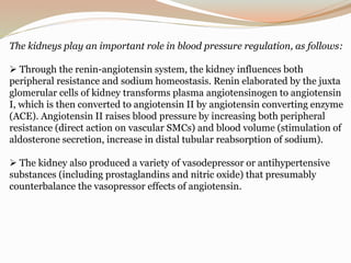 The kidneys play an important role in blood pressure regulation, as follows:
 Through the renin-angiotensin system, the kidney influences both
peripheral resistance and sodium homeostasis. Renin elaborated by the juxta
glomerular cells of kidney transforms plasma angiotensinogen to angiotensin
I, which is then converted to angiotensin II by angiotensin converting enzyme
(ACE). Angiotensin II raises blood pressure by increasing both peripheral
resistance (direct action on vascular SMCs) and blood volume (stimulation of
aldosterone secretion, increase in distal tubular reabsorption of sodium).
 The kidney also produced a variety of vasodepressor or antihypertensive
substances (including prostaglandins and nitric oxide) that presumably
counterbalance the vasopressor effects of angiotensin.
 