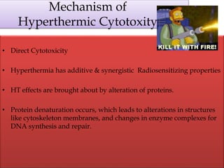 Mechanism of
Hyperthermic Cytotoxity
• Direct Cytotoxicity
• Hyperthermia has additive & synergistic Radiosensitizing properties
• HT effects are brought about by alteration of proteins.
• Protein denaturation occurs, which leads to alterations in structures
like cytoskeleton membranes, and changes in enzyme complexes for
DNA synthesis and repair.
 