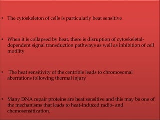 • The cytoskeleton of cells is particularly heat sensitive
• When it is collapsed by heat, there is disruption of cytoskeletal-
dependent signal transduction pathways as well as inhibition of cell
motility
• The heat sensitivity of the centriole leads to chromosomal
aberrations following thermal injury
• Many DNA repair proteins are heat sensitive and this may be one of
the mechanisms that leads to heat-induced radio- and
chemosensitization.
 