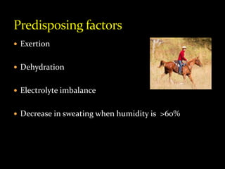  Exertion
 Dehydration
 Electrolyte imbalance
 Decrease in sweating when humidity is >60%
 