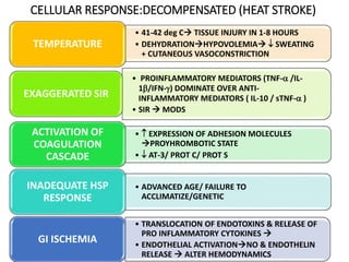 CELLULAR RESPONSE:DECOMPENSATED (HEAT STROKE)
• 41-42 deg C TISSUE INJURY IN 1-8 HOURS
• DEHYDRATIONHYPOVOLEMIA  SWEATING
+ CUTANEOUS VASOCONSTRICTION
TEMPERATURE
• PROINFLAMMATORY MEDIATORS (TNF- /IL-
1/IFN-) DOMINATE OVER ANTI-
INFLAMMATORY MEDIATORS ( IL-10 / sTNF- )
• SIR  MODS
EXAGGERATED SIR
•  EXPRESSION OF ADHESION MOLECULES
PROYHROMBOTIC STATE
•  AT-3/ PROT C/ PROT S
ACTIVATION OF
COAGULATION
CASCADE
• ADVANCED AGE/ FAILURE TO
ACCLIMATIZE/GENETIC
INADEQUATE HSP
RESPONSE
• TRANSLOCATION OF ENDOTOXINS & RELEASE OF
PRO INFLAMMATORY CYTOKINES 
• ENDOTHELIAL ACTIVATIONNO & ENDOTHELIN
RELEASE  ALTER HEMODYNAMICS
GI ISCHEMIA
 