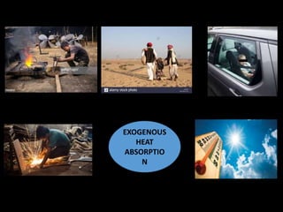 EXOGENOUS
HEAT
ABSORPTIO
N
 