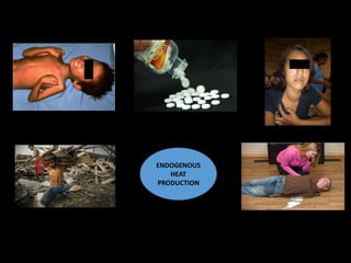 ENDOGENOUS
HEAT
PRODUCTION
 