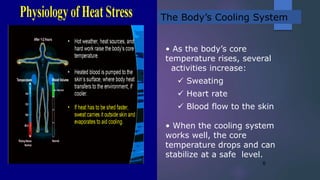 6
The Body’s Cooling System
• As the body’s core
temperature rises, several
activities increase:
 Sweating
 Heart rate
 Blood flow to the skin
• When the cooling system
works well, the core
temperature drops and can
stabilize at a safe level.
 