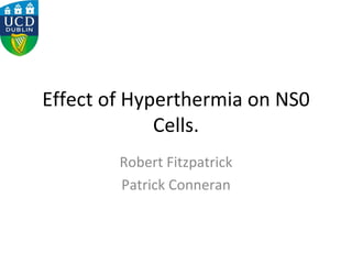 Effect of Hyperthermia on NS0 Cells. Robert Fitzpatrick Patrick Conneran 