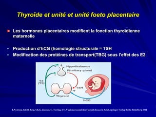 Les hormones placentaires modifient la fonction thyroïdienne
maternelle
 Production d’hCG (homologie structurale = TSH
 Modification des protéines de transport(TBG) sous l’effet des E2
Thyroïde et unité et unité foeto placentaire
E.Nystrom, G.E.B. Berg, S.K.G. Jansson, O. Torring, S.V. Valdemarsssom(Eds),Thyroid disease in Adult, springer-Verlag Berlin Heidelberg 2012
 