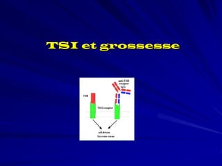 TSI et grossesse
 