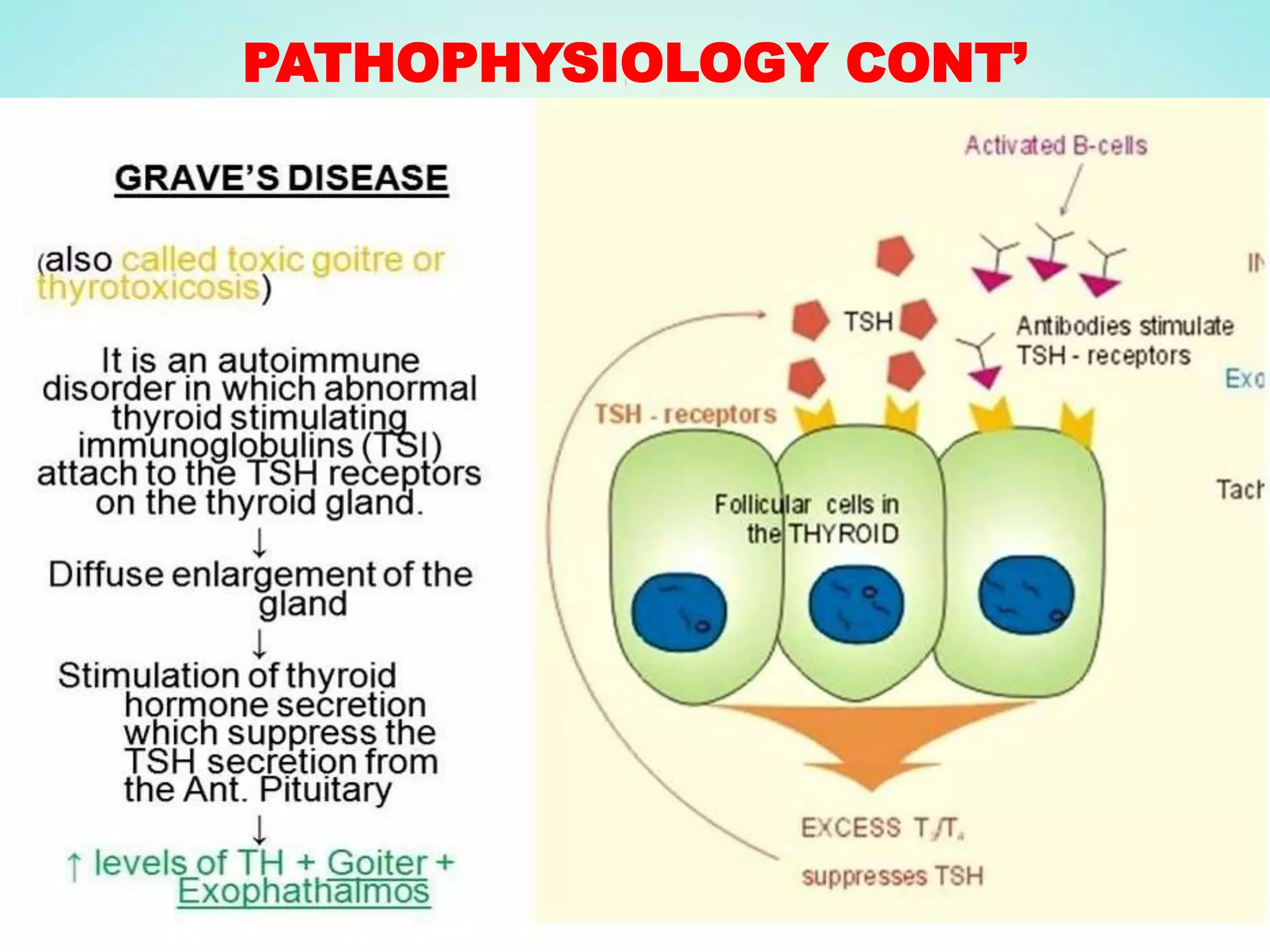 PATHOPHYSIOLOGY CONT’
 