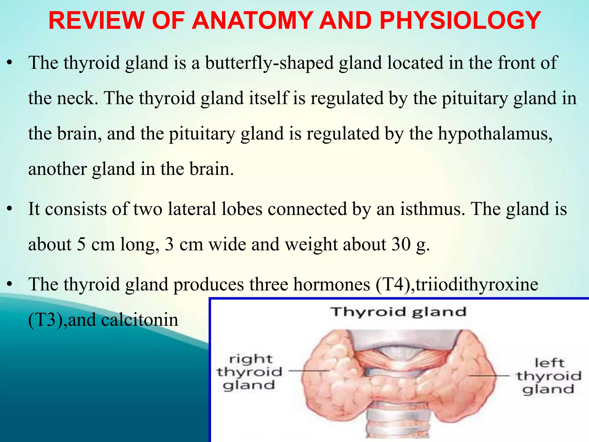 REVIEW OF ANATOMY AND PHYSIOLOGY
• The thyroid gland is a butterfly-shaped gland located in the front of
the neck. The thyroid gland itself is regulated by the pituitary gland in
the brain, and the pituitary gland is regulated by the hypothalamus,
another gland in the brain.
• It consists of two lateral lobes connected by an isthmus. The gland is
about 5 cm long, 3 cm wide and weight about 30 g.
• The thyroid gland produces three hormones (T4),triiodithyroxine
(T3),and calcitonin
 