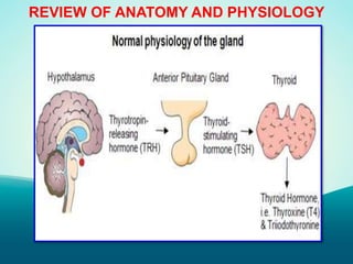 REVIEW OF ANATOMY AND PHYSIOLOGY
 