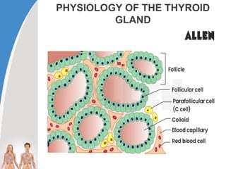 Comprehensive Overview of Thyroid Gland Disorders and Management | PPTX