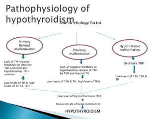 Due to etiology factor
Primory
thyroid
malformation Pituitory
malformation
Hypothalamic
malformation
Lack of TH negative
feedback on pituitory
TSH secretion and
hypothalamus TRH
seretion
Lack of negative feedback to
hypothalamus release of TRH
by TSH and thyroid TH
Decrease TRH
Low levels of TH & high
levels of TSH & TRH
Low levels of TSH & TH, high level of TRH
Low levels of TRH,TSH &
TH
Low level of thyroid hormone (TH)
Impaired rate of basal metabolism
HYPOTHYROIDISM
 