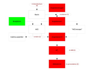 Angiotensinogen
⊖ aliskiren (1)
⊖ ACE-I (2)
Angiotensinogen
Angiotensin I
Angiotensin II
AT1
Aldosteron
Renin
ACE ”ACE-escape”
⊖ ARB (3)
⊖ spironolakton (4)
Bradykinin
inaktiva peptider
⊖ beta-blockare
(0)
 