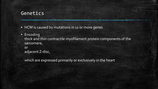 Genetics
▪ HCM is caused by mutations in 11 or more genes
▪ Encoding
thick and thin contractile myofilament protein components of the
sarcomere,
or
adjacent Z-disc,
which are expressed primarily or exclusively in the heart
 