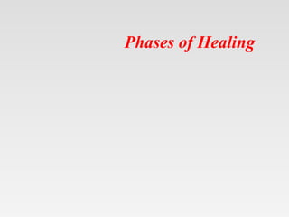Phases of Healing
 