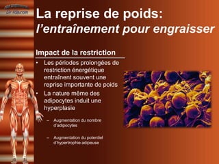 La reprise de poids:
l’entraînement pour engraisser
Impact de la restriction
• Les périodes prolongées de
  restriction énergétique
  entraînent souvent une
  reprise importante de poids
• La nature même des
  adipocytes induit une
  hyperplasie
   –   Augmentation du nombre
       d’adipocytes

   –   Augmentation du potentiel
       d’hypertrophie adipeuse
 