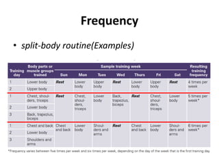 Frequency
• split-body routine(Examples)
 
