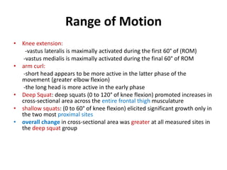 Range of Motion
• Knee extension:
-vastus lateralis is maximally activated during the first 60° of (ROM)
-vastus medialis is maximally activated during the final 60° of ROM
• arm curl:
-short head appears to be more active in the latter phase of the
movement (greater elbow flexion)
-the long head is more active in the early phase
• Deep Squat: deep squats (0 to 120° of knee flexion) promoted increases in
cross-sectional area across the entire frontal thigh musculature
• shallow squats: (0 to 60° of knee flexion) elicited significant growth only in
the two most proximal sites
• overall change in cross-sectional area was greater at all measured sites in
the deep squat group
 