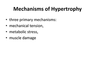 Mechanisms of Hypertrophy
• three primary mechanisms:
• mechanical tension,
• metabolic stress,
• muscle damage
 