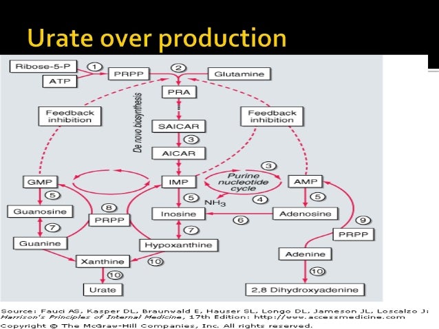 Hyperuricemia and gout