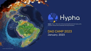 Credit: One Earth Navigator
DAO CAMP 2023
January, 2023
Hypha: /Noun /ˈhīfə/ each of the branching ﬁlaments that make up the
mycelium network that coordinates thriving ecosystems.
 