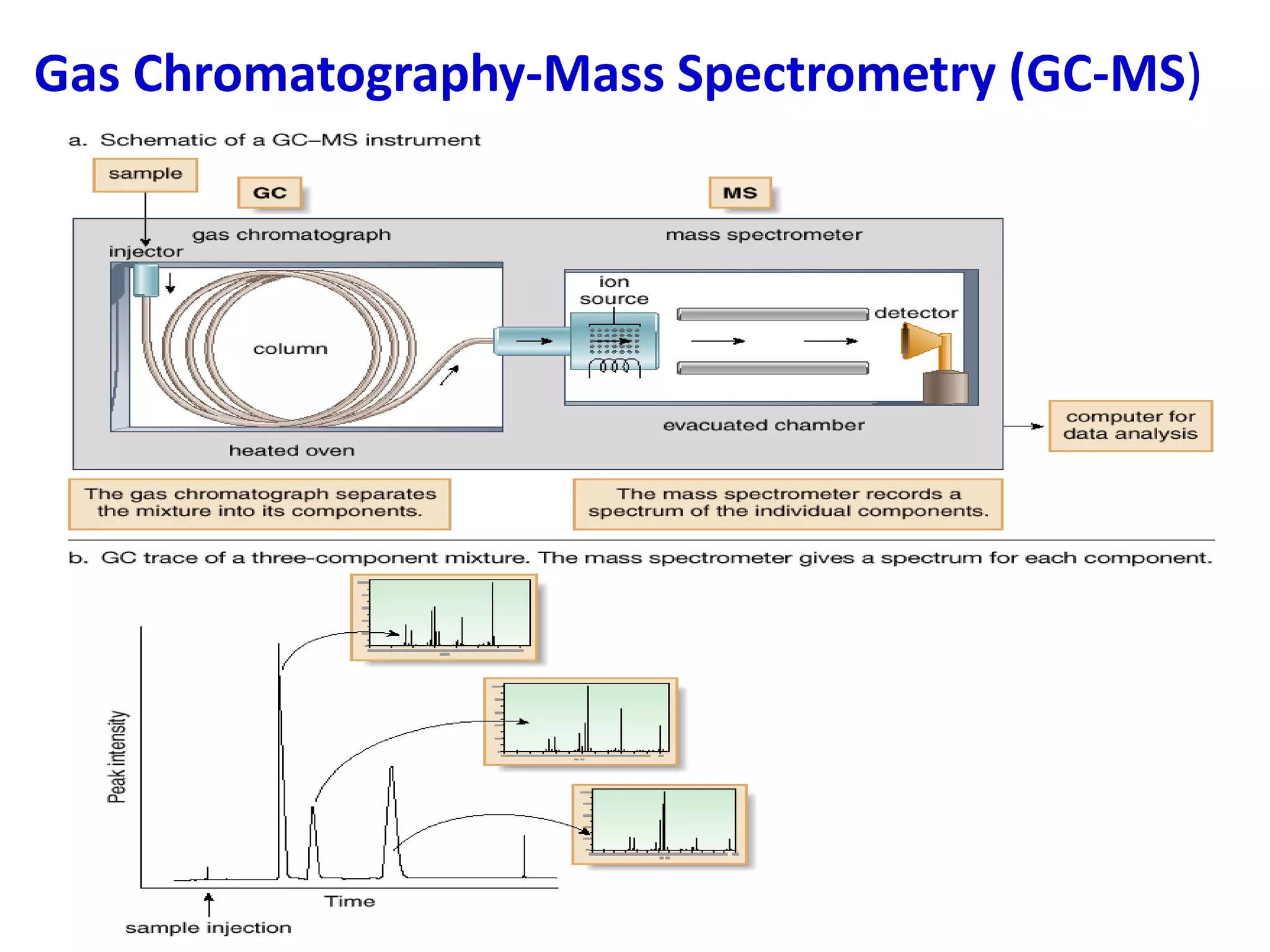 Gas Chromatography-Mass Spectrometry (GC-MS)
 