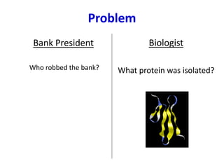 Problem
Bank President
Who robbed the bank?
Biologist
What protein was isolated?
 