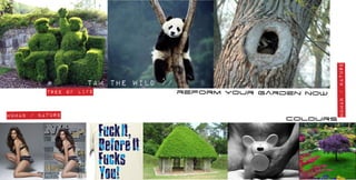 human / nature
                    tam the wild //
          tree of life                reform your garden now

human / nature
                                                     colours
 