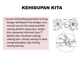KEHIDUPAN KITA
…neuron berkembang perlahan seiring
dengan kehidupan kita dengan cara
meraih neuron lain yang memiliki
ranting dendrit yang sama. Ketika
kita menyerap informasi baru,
dendrit kita membuat cabangcabang baru. Setiap cabang ini akan
mengembangkan lagi rantingranting lainnya.

 