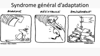 Syndrome général d’adaptation
 