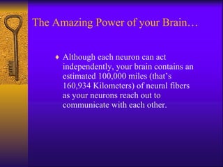 The Amazing Power of your Brain… Although each neuron can act independently, your brain contains an estimated 100,000 miles (that’s 160,934 Kilometers) of neural fibers as your neurons reach out to communicate with each other. 