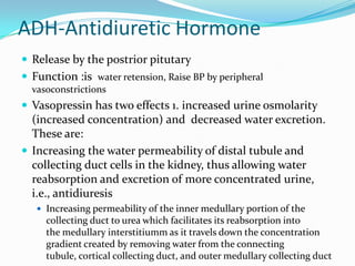 ADH-Antidiuretic Hormone
 Release by the postrior pitutary
 Function :is water retension, Raise BP by peripheral
vasoconstrictions
 Vasopressin has two effects 1. increased urine osmolarity
(increased concentration) and decreased water excretion.
These are:
 Increasing the water permeability of distal tubule and
collecting duct cells in the kidney, thus allowing water
reabsorption and excretion of more concentrated urine,
i.e., antidiuresis
 Increasing permeability of the inner medullary portion of the
collecting duct to urea which facilitates its reabsorption into
the medullary interstitiumm as it travels down the concentration
gradient created by removing water from the connecting
tubule, cortical collecting duct, and outer medullary collecting duct
 