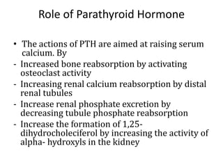 Role of Parathyroid Hormone
• The actions of PTH are aimed at raising serum
calcium. By
- Increased bone reabsorption by activating
osteoclast activity
- Increasing renal calcium reabsorption by distal
renal tubules
- Increase renal phosphate excretion by
decreasing tubule phosphate reabsorption
- Increase the formation of 1,25-
dihydrocholeciferol by increasing the activity of
alpha- hydroxyls in the kidney
 