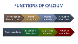 Formation of
bone and teeth
Nerve
conduction
Muscle
contraction
Activation
of enzymes
Blood coagulation
Secretion of
hormones
As a second
messenger
Action on
myocardium
 