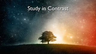 Study in Contrast

 