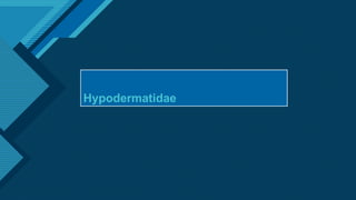 Click to edit Master title style
1
Hypodermatidae
 