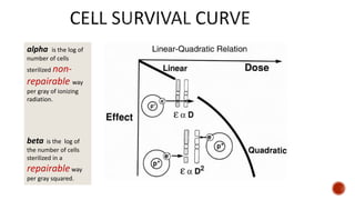 alpha is the log of
number of cells
sterilized non-
repairable way
per gray of ionizing
radiation.
beta is the log of
the number of cells
sterilized in a
repairableway
per gray squared.
 