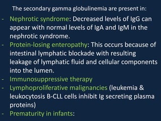 The secondary gamma globulinemia are present in:
- Nephrotic syndrome: Decreased levels of IgG can
appear with normal levels of IgA and IgM in the
nephrotic syndrome.
- Protein-losing enteropathy: This occurs because of
intestinal lymphatic blockade with resulting
leakage of lymphatic fluid and cellular components
into the lumen.
- Immunosuppressive therapy
- Lymphoproliferative malignancies (leukemia &
leukocytosis B-CLL cells inhibit Ig secreting plasma
proteins)
- Prematurity in infants:
 