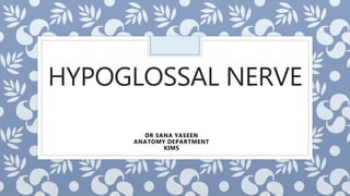 HYPOGLOSSAL NERVE
DR SANA YASEEN
ANATOMY DEPARTMENT
KIMS
 