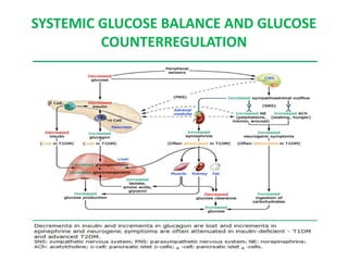 SYSTEMIC GLUCOSE BALANCE AND GLUCOSE
COUNTERREGULATION
 