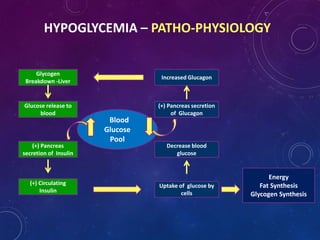 HYPOGLYCEMIA – PATHO-PHYSIOLOGY
Glycogen
Breakdown -Liver
Increased Glucagon
Energy
Fat Synthesis
Glycogen Synthesis
Glucose release to
blood
(+) Pancreas secretion
of Glucagon
Blood
Glucose
Pool
(+) Pancreas
secretion of Insulin
(+) Circulating
Insulin
Uptake of glucose by
cells
Decrease blood
glucose
 