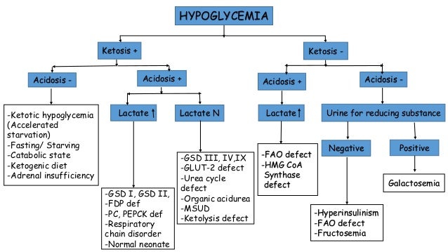 Hypoglycemia in children