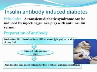 Insulin antibody induced diabetes
Principle: - A transient diabetic syndrome can be
induced by injecting guinea pigs with anti insulin
serum.
Preparation of antibody
Bovine insulin, dissolved in acidified water [ph 3.0] at a dose
of 1mg /ml
Anti insulin sera is collected after two weeks of antigenic challenge
Injected into guinea
pigs
 