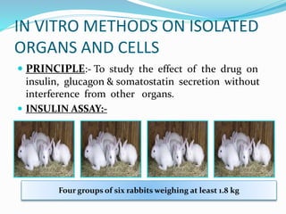 IN VITRO METHODS ON ISOLATED
ORGANS AND CELLS
 PRINCIPLE:- To study the effect of the drug on
insulin, glucagon & somatostatin secretion without
interference from other organs.
 INSULIN ASSAY:-
Four groups of six rabbits weighing at least 1.8 kg
 
