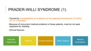 PRADER-WILLI SYNDROME (1)
• Caused by microdeletions or mutations on the paternal chromosome 15 at the
q11 or 13 location
• Because of concurrent medical problems in these patients, most do not seek
treatment for infertility
• Clinical features :
Infantile
hypotonia
Obesity Cryptorchidism Short stature
Mental
retardation
 