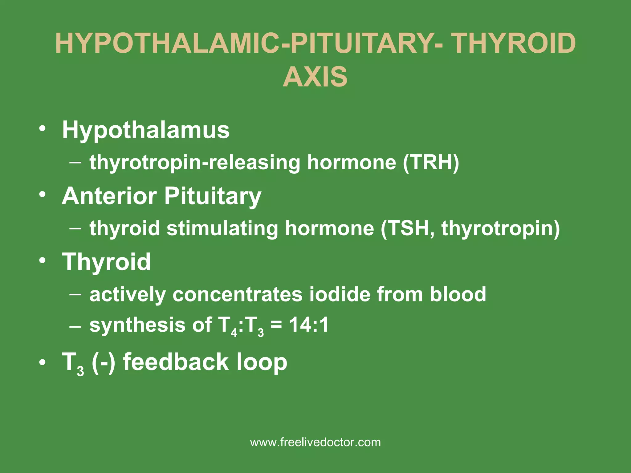 HYPOTHALAMIC-PITUITARY- THYROID AXIS Hypothalamus thyrotropin-releasing hormone (TRH) Anterior Pituitary thyroid stimulating hormone (TSH, thyrotropin)  Thyroid actively concentrates iodide from blood synthesis of T 4 :T 3  = 14:1 T 3  (-) feedback loop www.freelivedoctor.com 