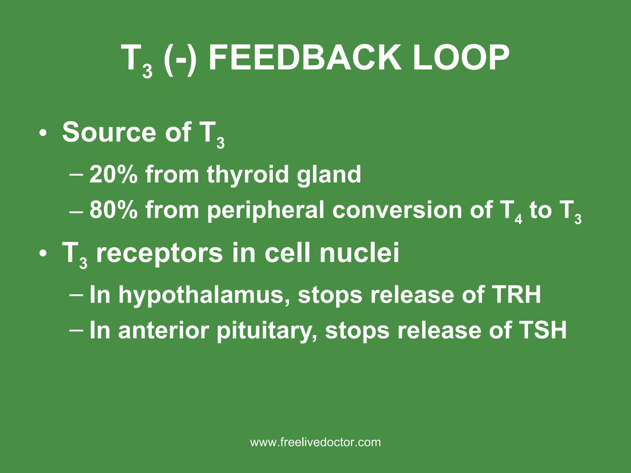 T 3  (-) FEEDBACK LOOP Source of T 3 20% from thyroid gland 80% from peripheral conversion of T 4  to T 3 T 3  receptors in cell nuclei In hypothalamus, stops release of TRH In anterior pituitary, stops release of TSH www.freelivedoctor.com 